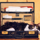 Illustration for article titled LIST: Unmarketable Skills to Fill Out my Resume